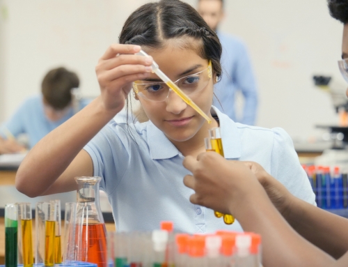 The lack of gender diversity and its impact on the future of STEM